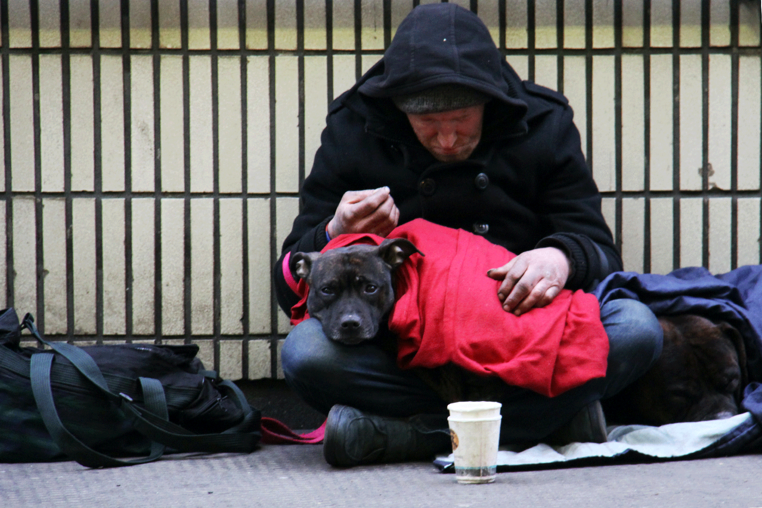 Homeless con il suo cane, Fondazione Fiore della Pace ETS, volontariato senzatetto Torino